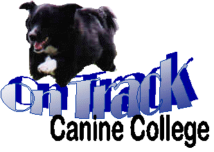 On Track Canine College